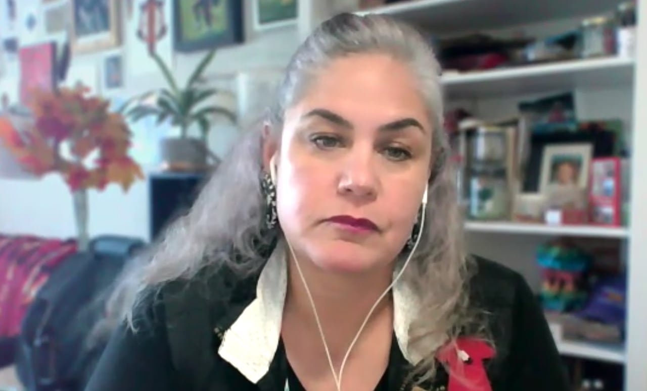 A woman with long silver hair wearing a dark blazer with a small red dress pinned to a lapel, sits in an indoor room, bookshelves and art seen behind her.